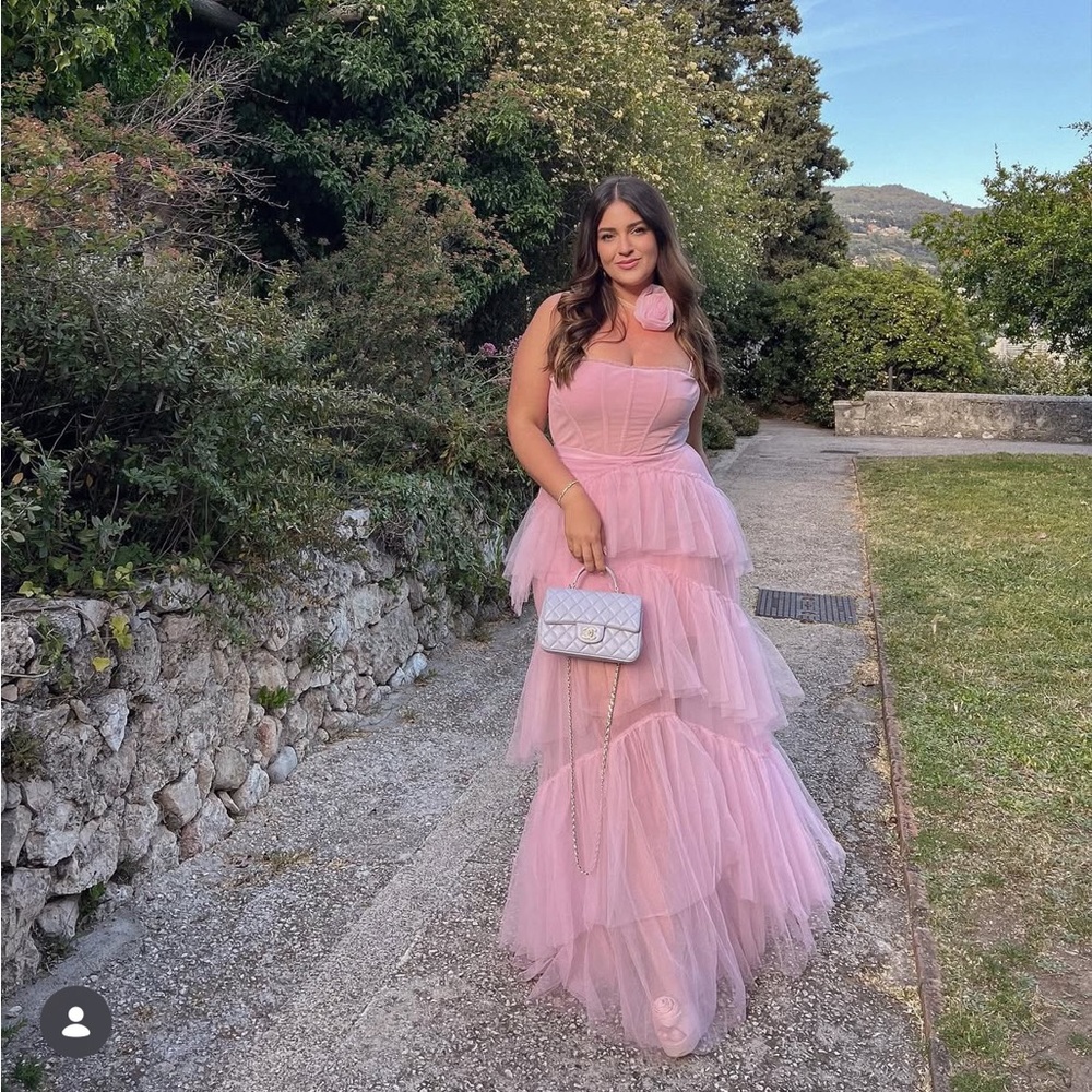 BCBGMAXAZRIA Corset Tulle Gown in Pink Tint - Picture 11 of 11